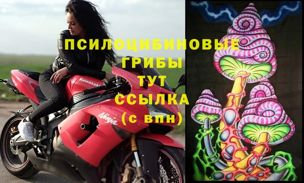 PSILOCYBIN Наволоки