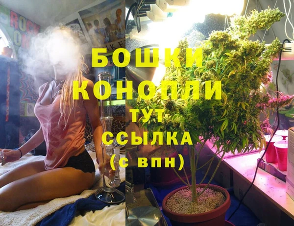 PSILOCYBIN Наволоки