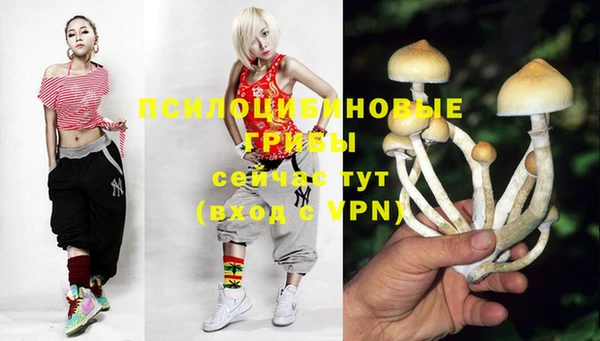 mdpv Навашино