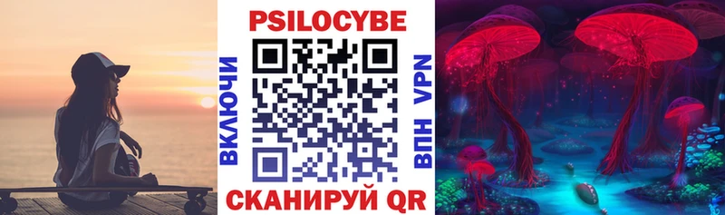 Псилоцибиновые грибы мицелий Тбилисская